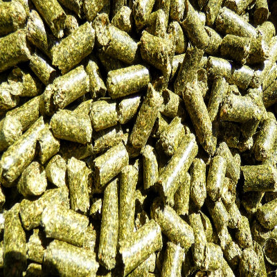 FibreSafe Lucerne Pellets 20 kg