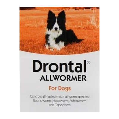 Drontal All Wormer for Dogs up to 10kg Single tablet - SPECIAL OFFER